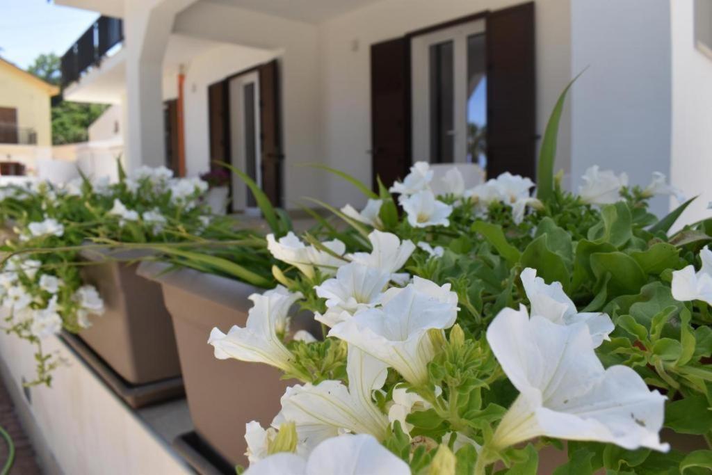 B&B Lastracu Castellammare del Golfo Εξωτερικό φωτογραφία